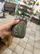 Load image into Gallery viewer, The Painted Pony | Monstera Mugs
