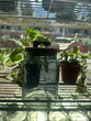 Load image into Gallery viewer, Glass Storage Jar | Bamboo Lid
