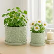 Load image into Gallery viewer, SageBrooke Home Pots | Assorted planters
