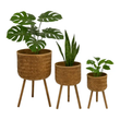 Load image into Gallery viewer, SageBrooke Home Pots | Assorted planters
