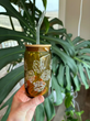 Load image into Gallery viewer, Oli + Finn | Glassware
