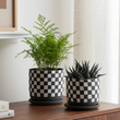 Load image into Gallery viewer, SageBrooke Home Pots | Assorted planters
