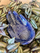 Load image into Gallery viewer, Pottery | Hands | Rose Hips Moth Wings

