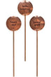 Load image into Gallery viewer, Plant Stakes | Engraved Copper Plant Markers
