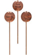 Load image into Gallery viewer, Plant Stakes | Engraved Copper Plant Markers
